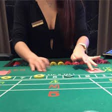 mrcoin88